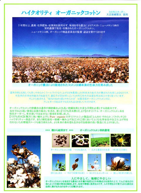 藍染5本指靴下2足組(紺碧/azure blue) 日本製 Natural Organic Cotton